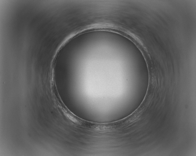 X0000082931366200702152136