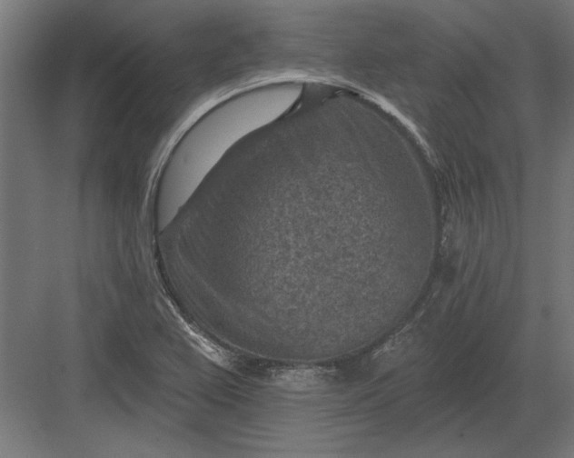 X0000082931367200702152136