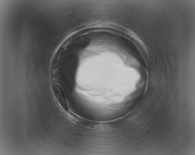 X0000082931368200702152136