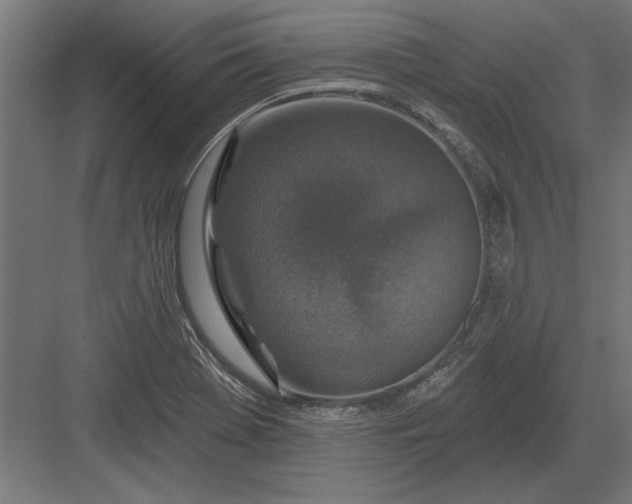 X0000082931369200702152136