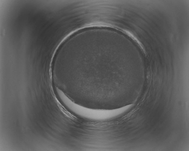 X0000082931372200702152136