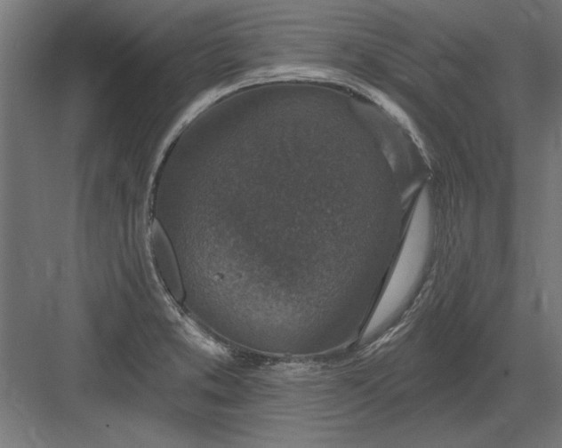 X0000082931373200702152136