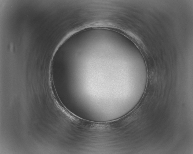 X0000082931374200702152136