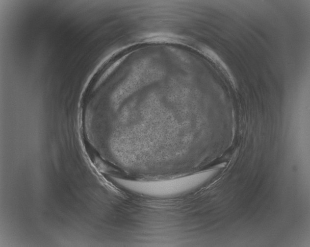 X0000082931376200702152136