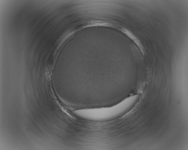 X0000082931377200702152136