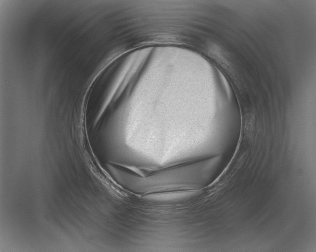 X0000082931378200702152136