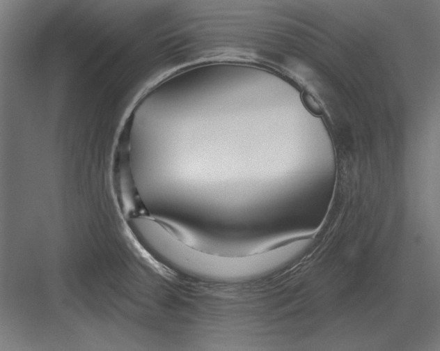 X0000082931379200702152136