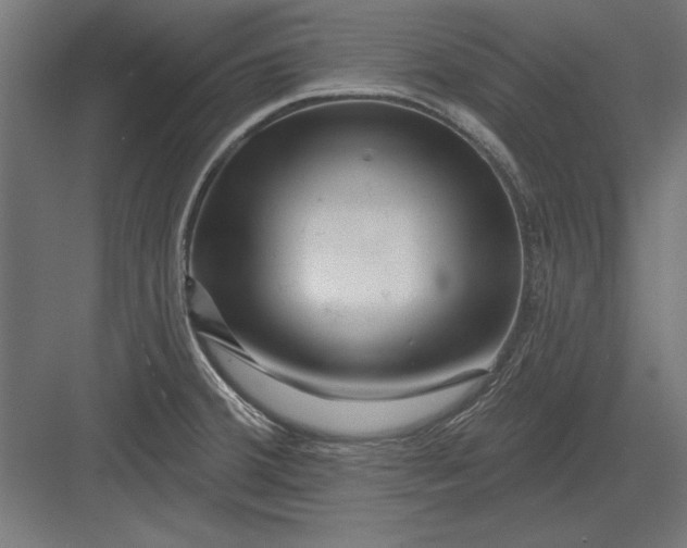 X0000082931380200702152136