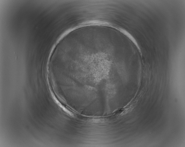 X0000082931381200702152136