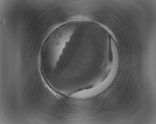 X0000082931383200702152136