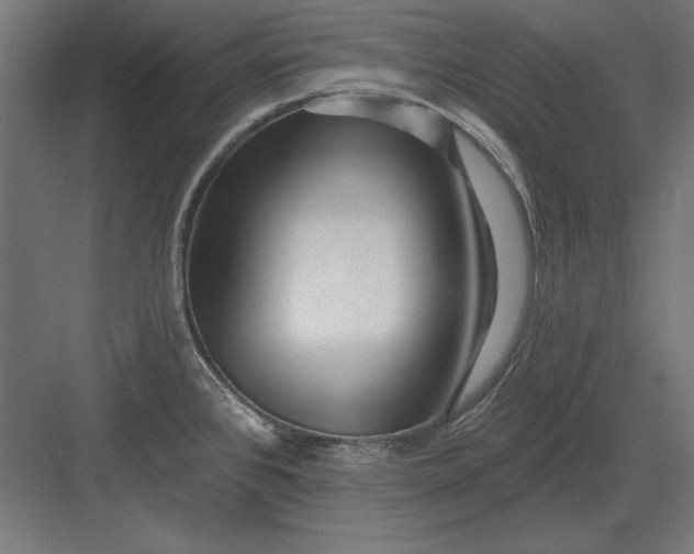 X0000082931384200702152136