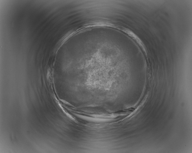 X0000082931385200702152136