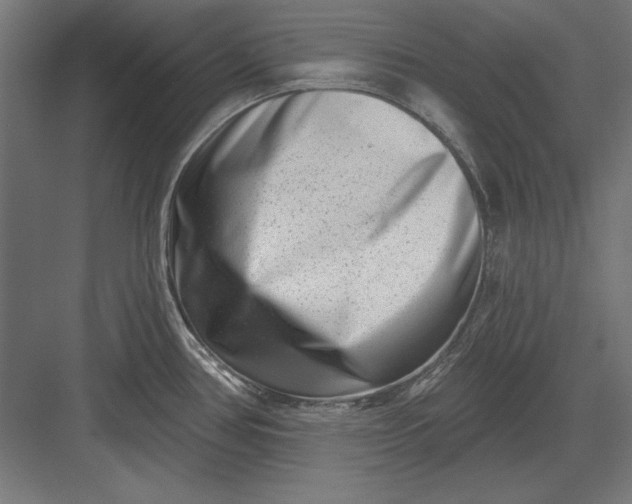 X0000082931386200702152136