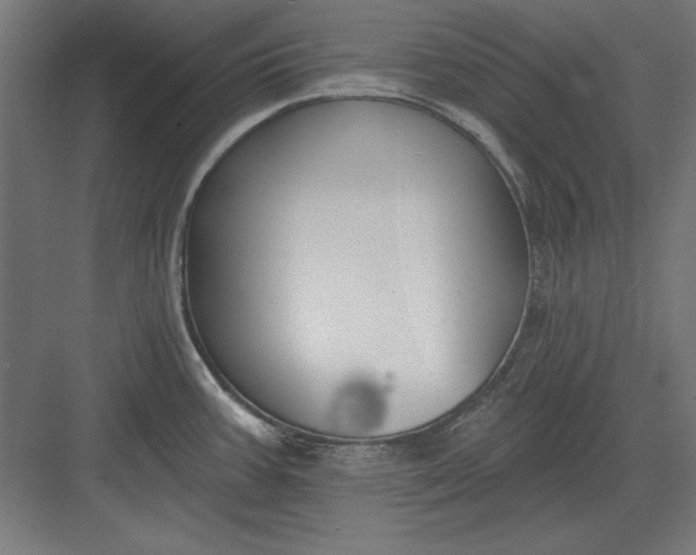 X0000082931387200702152136