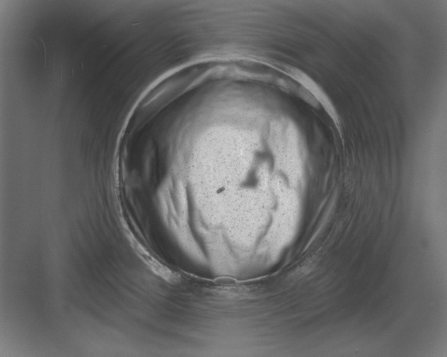 X0000082931388200702152136