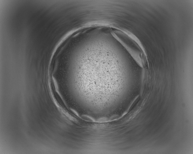 X0000082931389200702152136