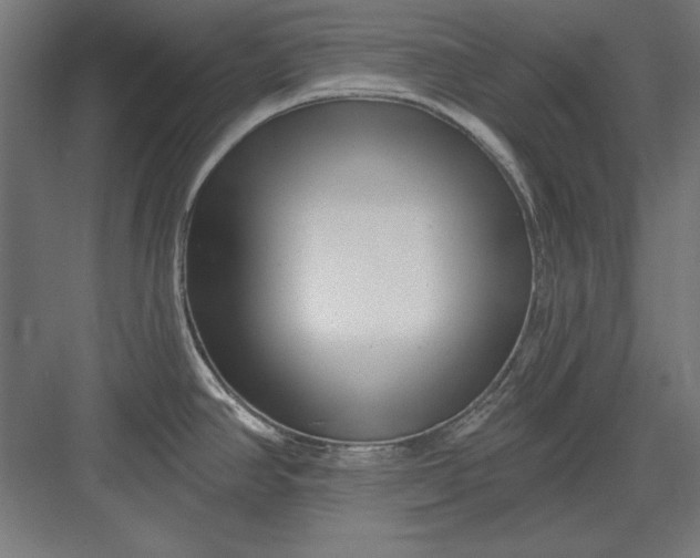 X0000082931390200702152136