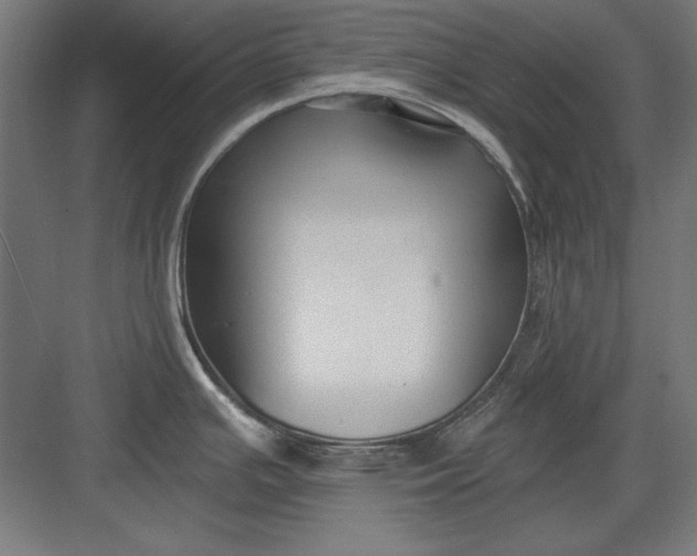 X0000082931391200702152136