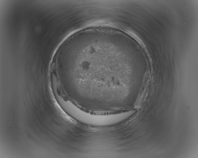 X0000082931392200702152136