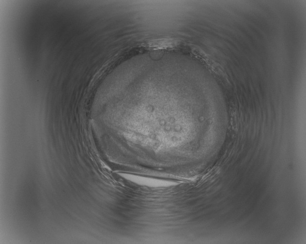 X0000082931393200702152135