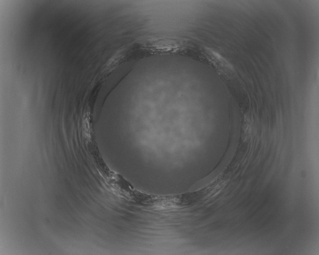 X0000082931394200702152135