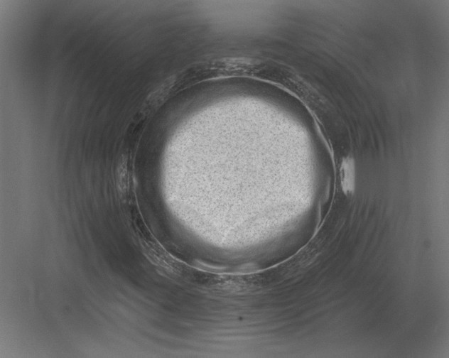 X0000082931395200702152135