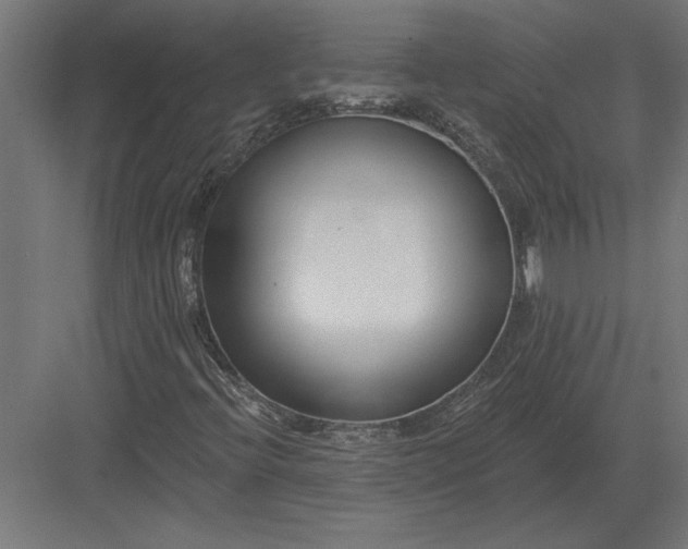 X0000082931396200702152135