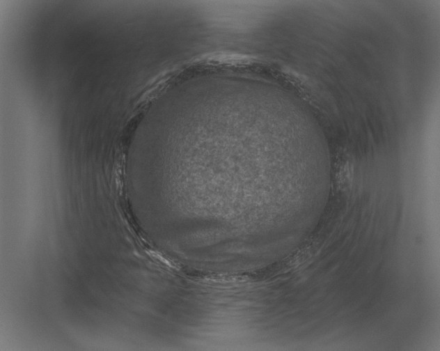 X0000082931397200702152135