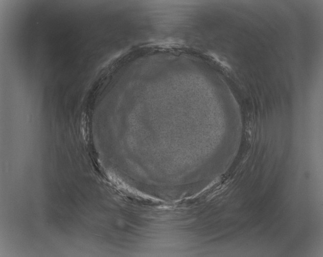 X0000082931398200702152135