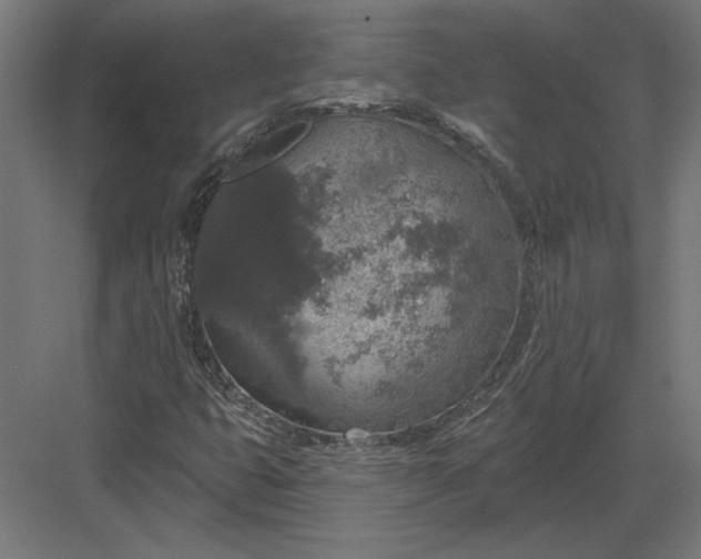 X0000082931399200702152135