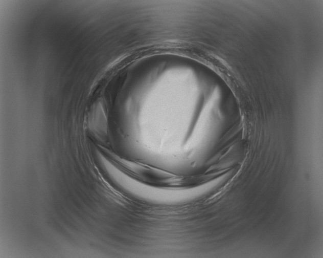 X0000082931402200702152135