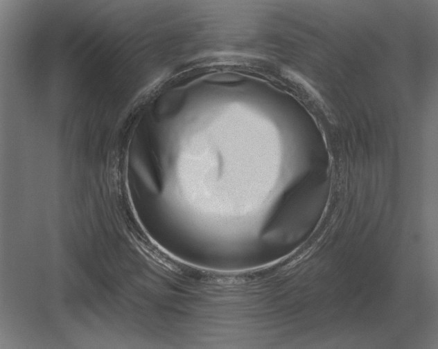 X0000082931403200702152135