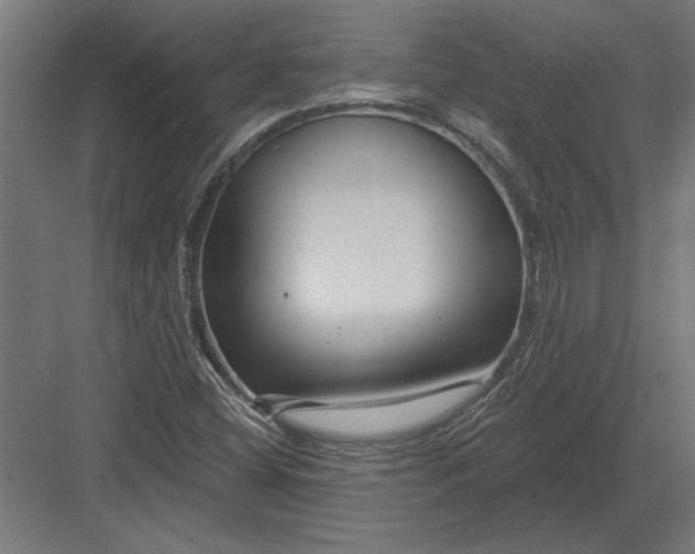 X0000082931404200702152135