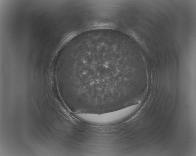 X0000082931405200702152135