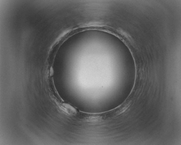 X0000082931406200702152135