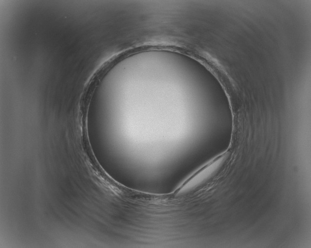 X0000082931408200702152135