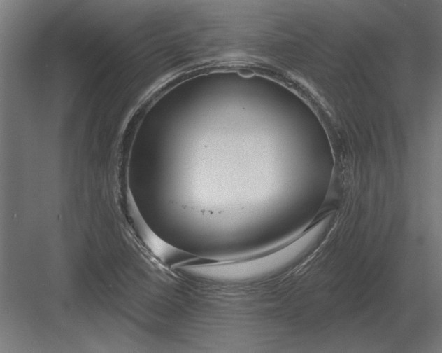 X0000082931410200702152135