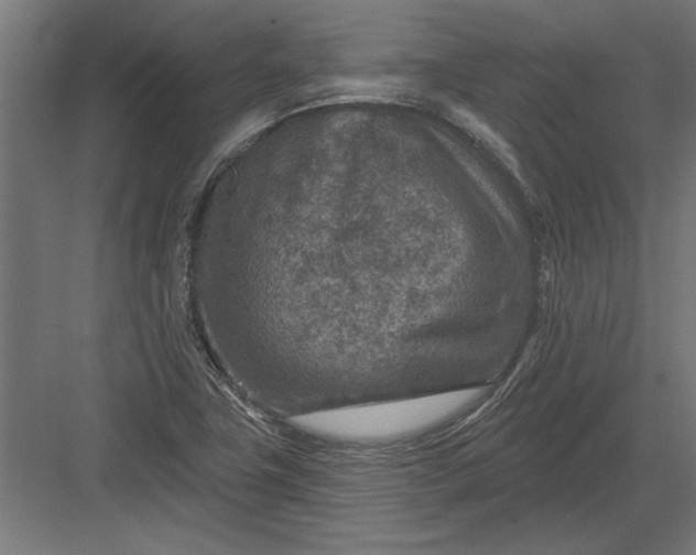 X0000082931411200702152135