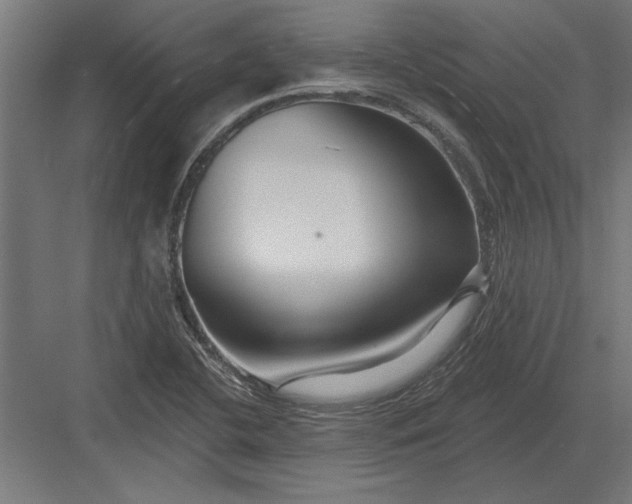 X0000082931412200702152135