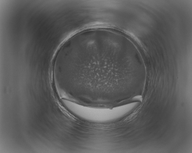 X0000082931413200702152135