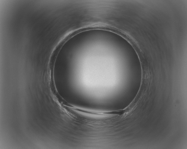 X0000082931414200702152135