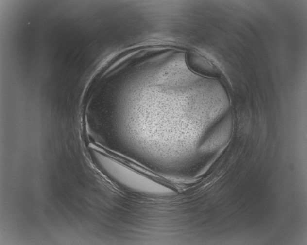 X0000082931415200702152135