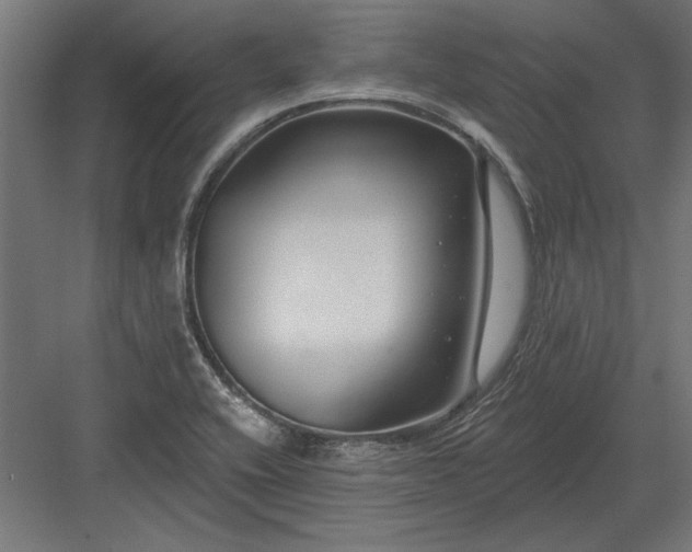 X0000082931416200702152136