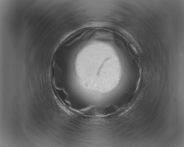 X0000082931417200702152136