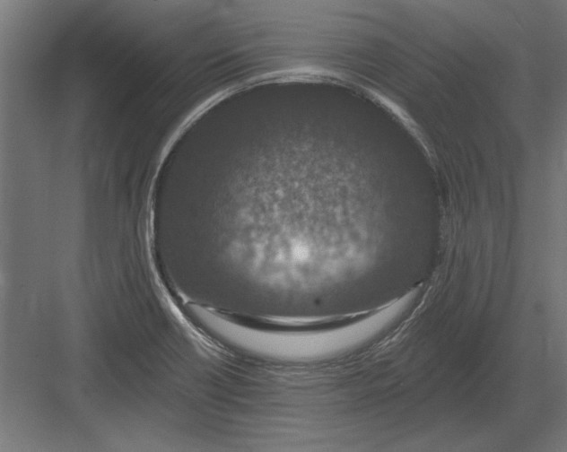 X0000082931418200702152136