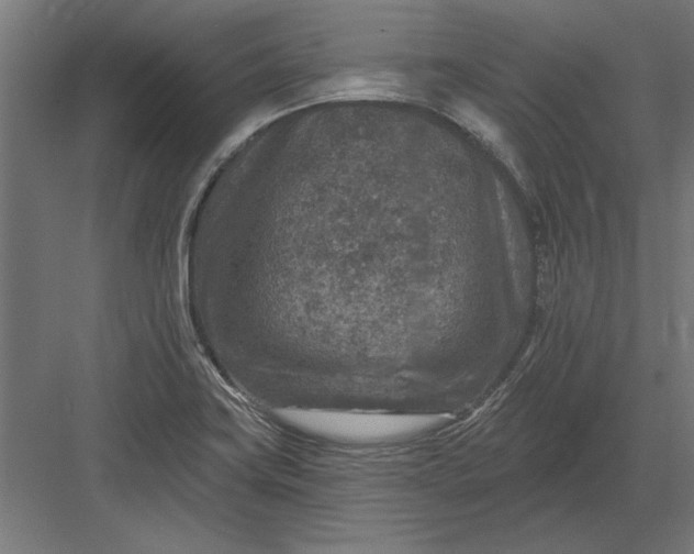 X0000082931419200702152136