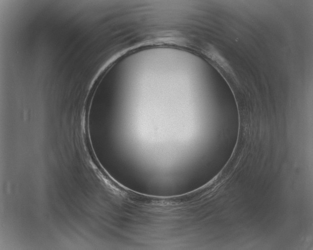 X0000082931420200702152136