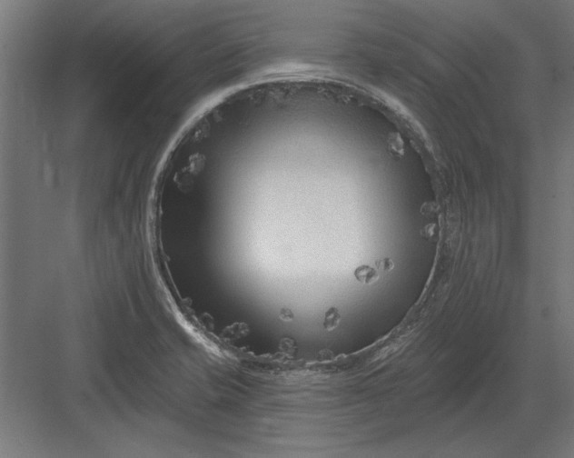 X0000082931421200702152136