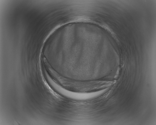 X0000082931422200702152136