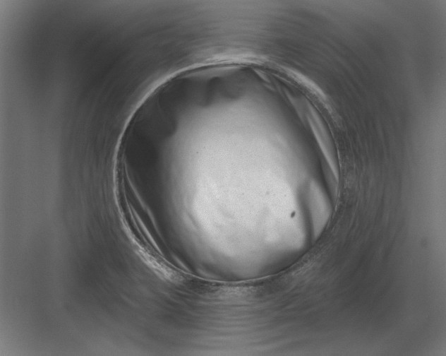 X0000082931423200702152136